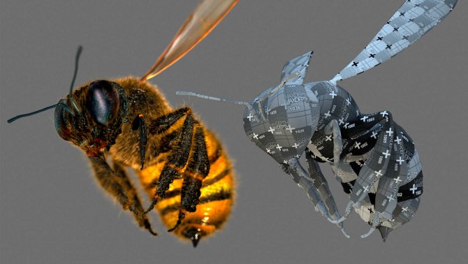 3д-модель пчелы